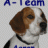 Beagle A-Team